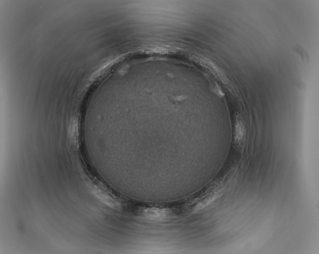 X0000111830444200907231320