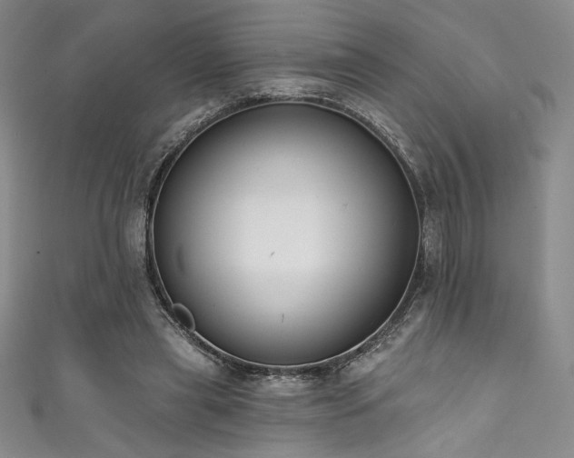 X0000111830445200907231320