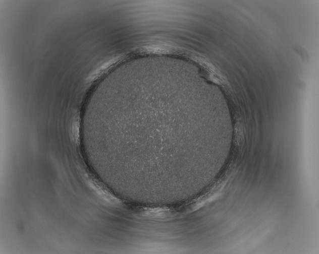 X0000111830446200907231320