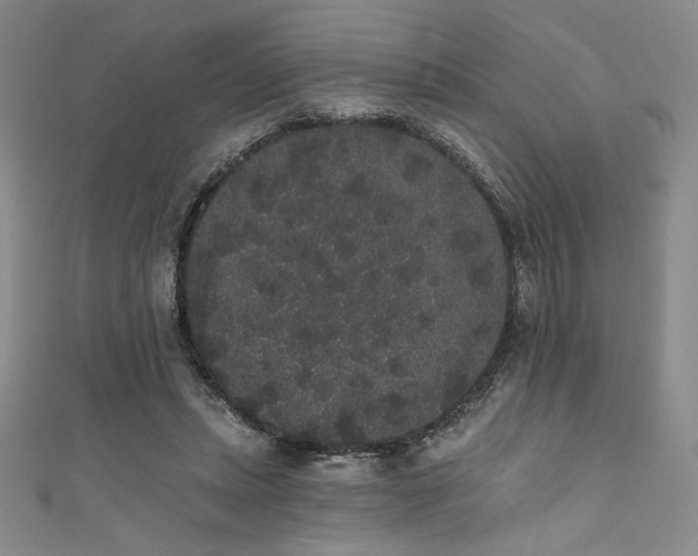 X0000111830447200907231320