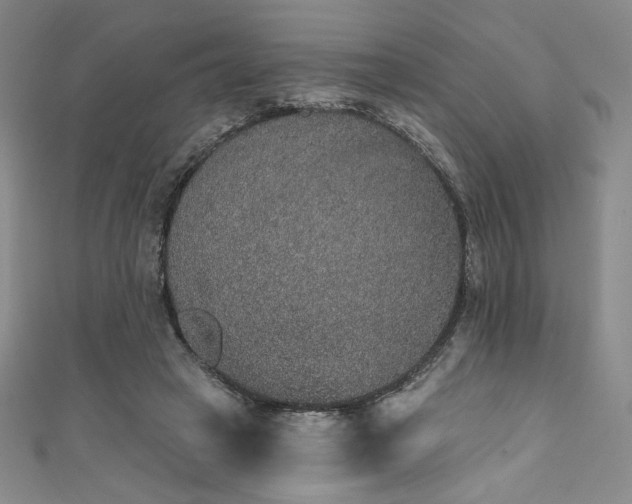 X0000111830449200907231320