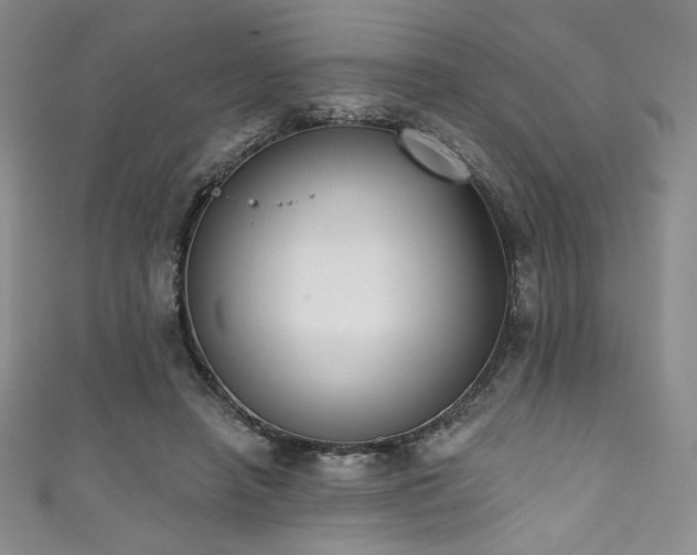 X0000111830450200907231320