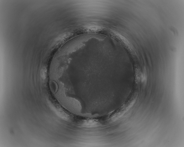 X0000111830451200907231320