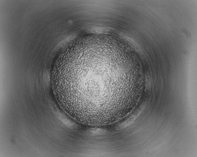 X0000111830453200907231320