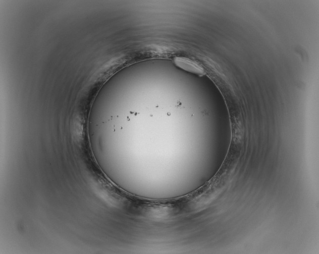 X0000111830456200907231320