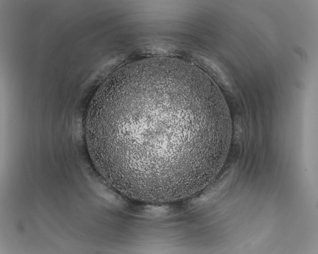 X0000111830457200907231320