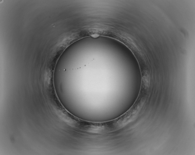 X0000111830458200907231320