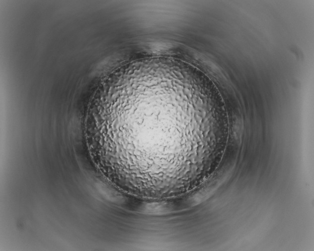 X0000111830461200907231320
