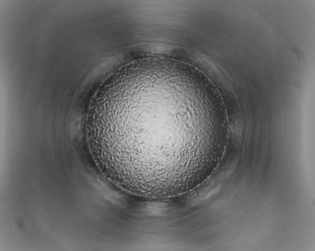 X0000111830462200907231320