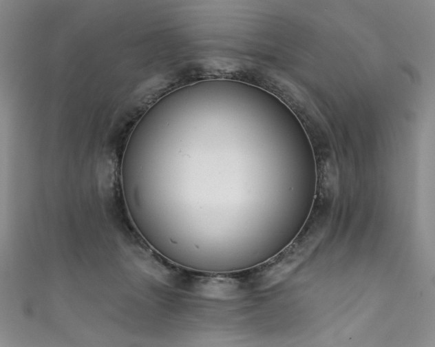 X0000111830463200907231320