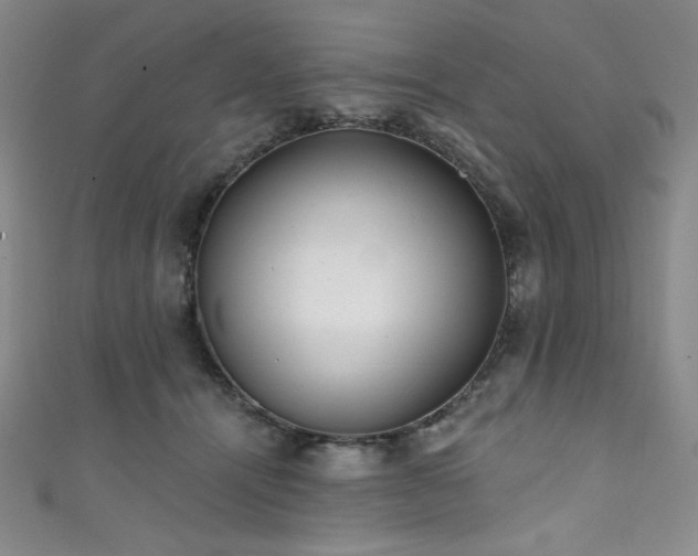 X0000111830464200907231320