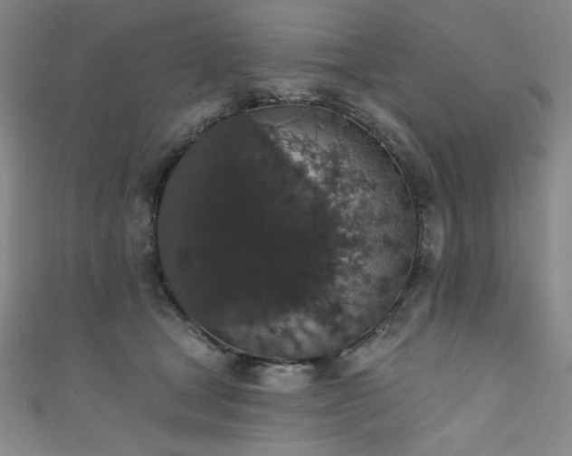 X0000111830465200907231320