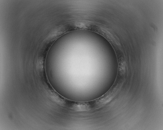 X0000111830466200907231320