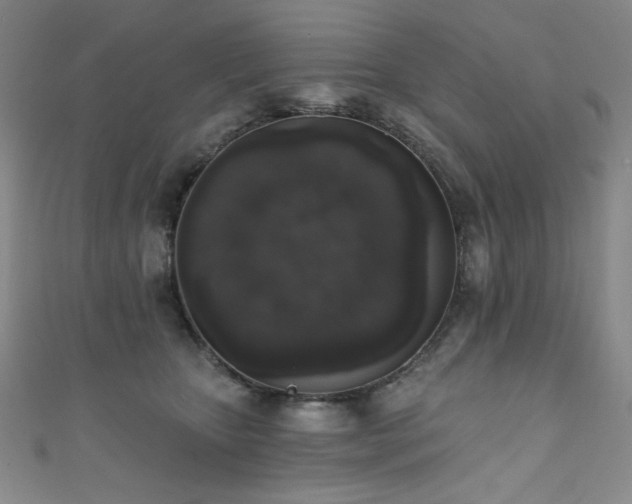 X0000111830467200907231320