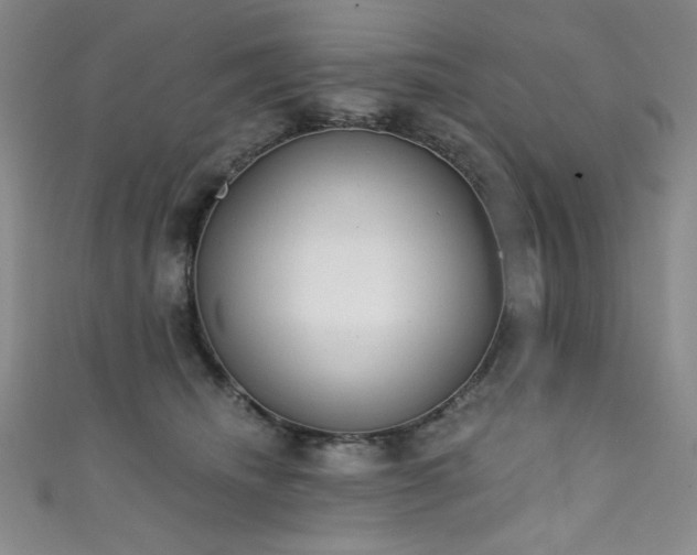 X0000111830468200907231320