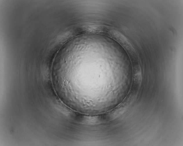 X0000111830469200907231320