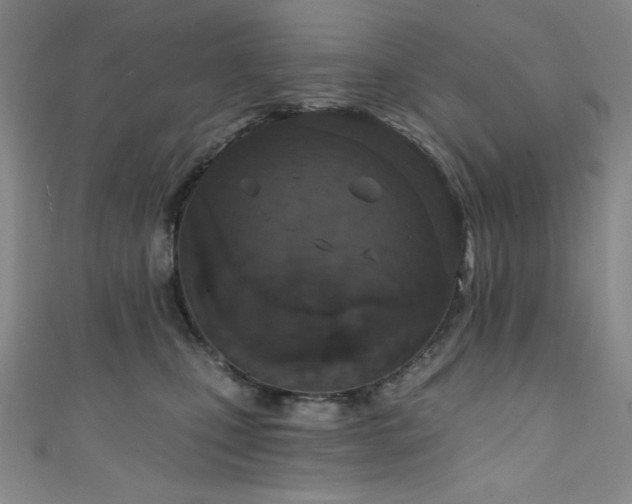X0000111830471200907231320