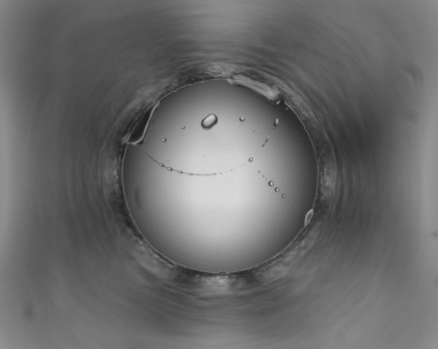 X0000111830473200907231320