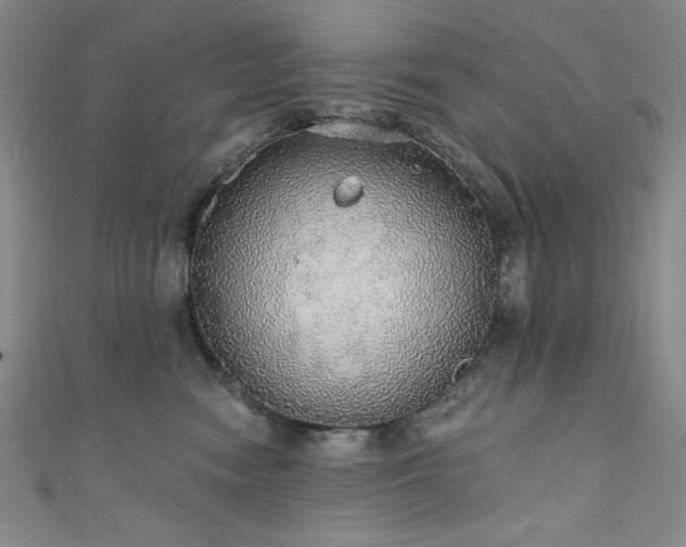 X0000111830474200907231320