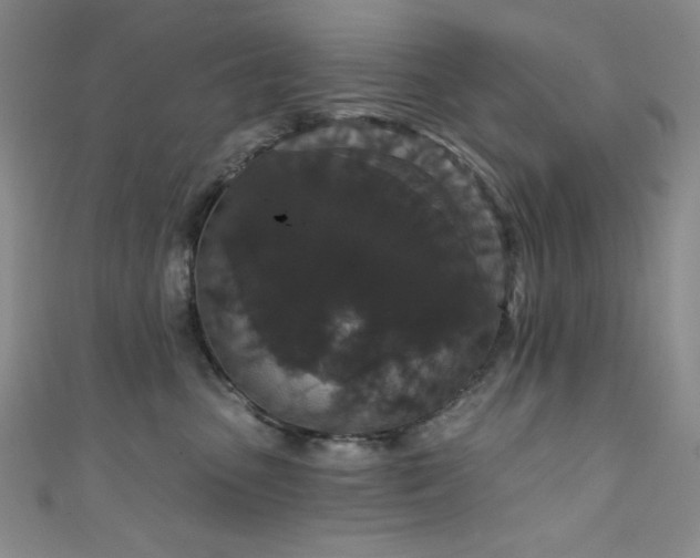 X0000111830475200907231320