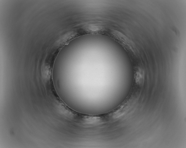 X0000111830476200907231320