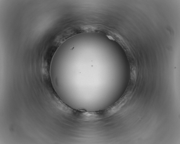 X0000111830477200907231320