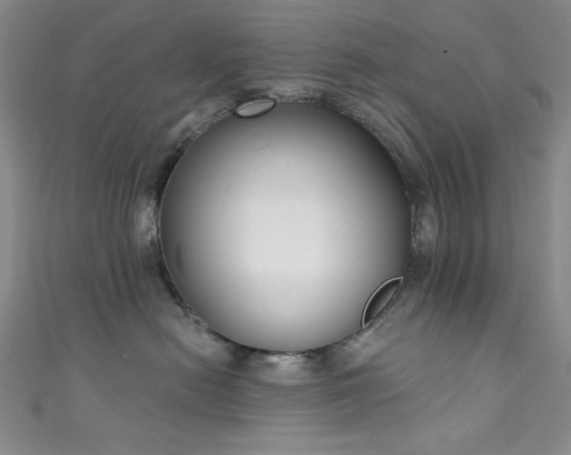 X0000111830478200907231320