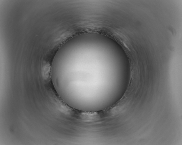 X0000111830480200907231320
