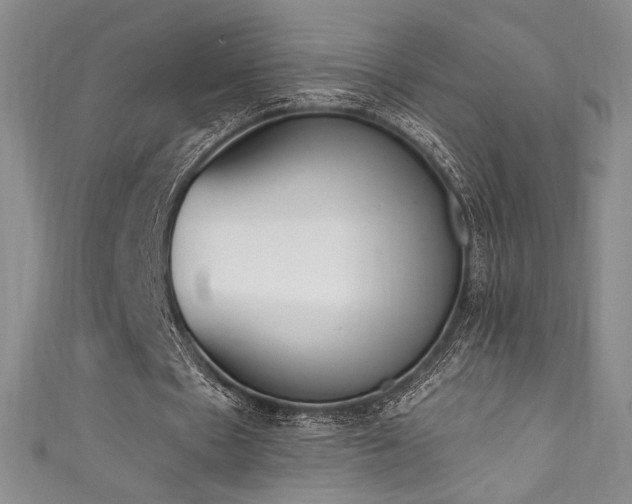 X0000111830481200907231320