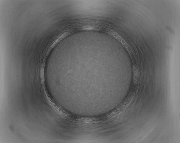 X0000111830482200907231320
