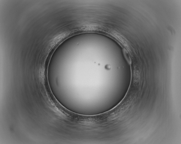 X0000111830485200907231320