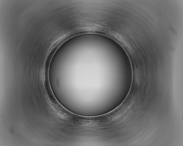 X0000111830486200907231320