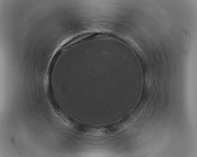 X0000111830488200907231320