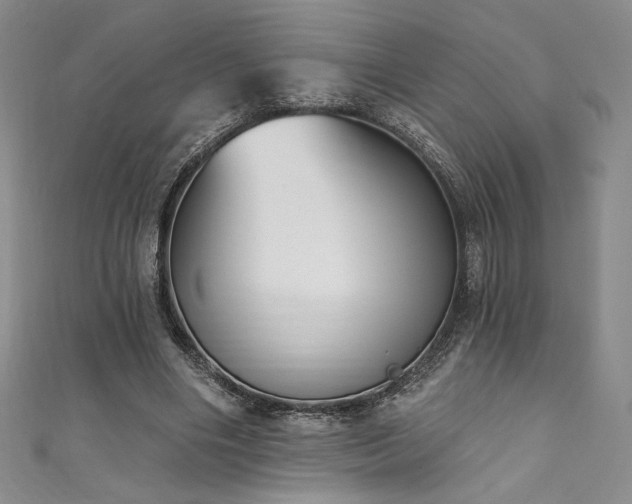 X0000111830490200907231320