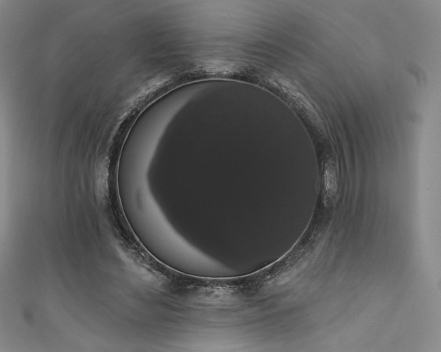 X0000111830492200907231320