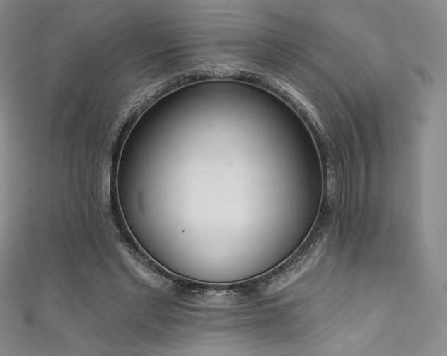 X0000111830493200907231320