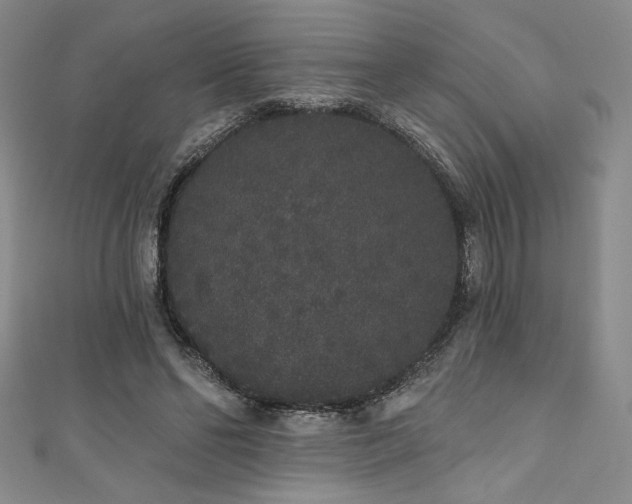 X0000111830494200907231320