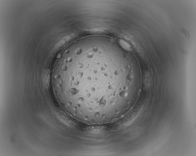 X0000111830495200907231320