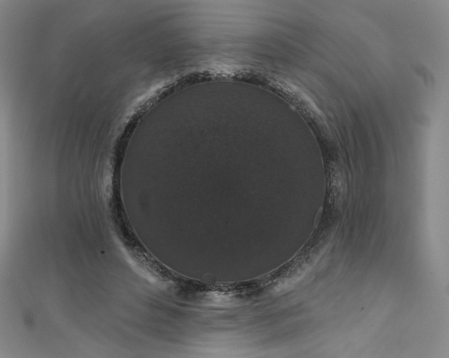 X0000111830496200907231320