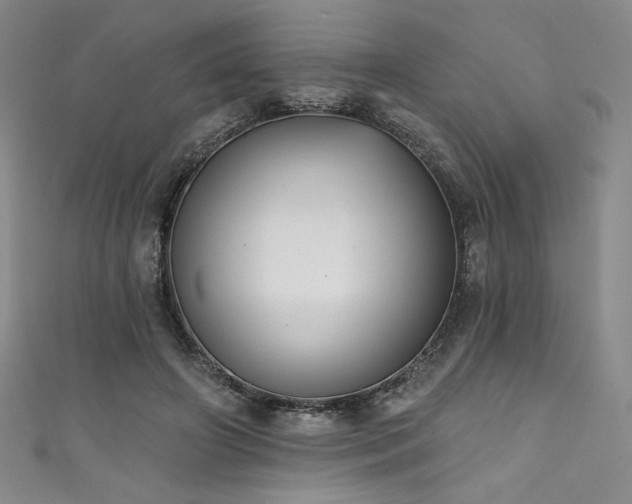 X0000111830498200907231320