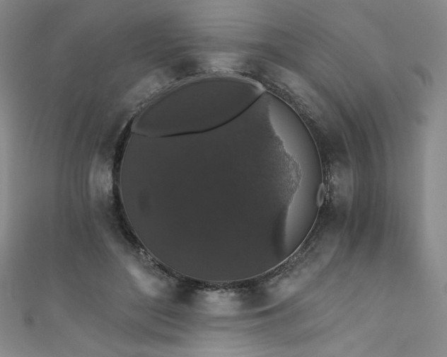 X0000111830500200907231319
