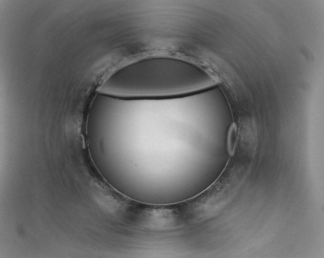 X0000111830501200907231319
