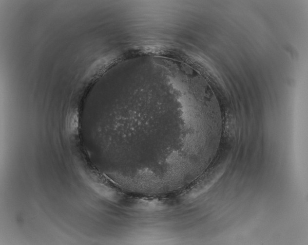 X0000111830502200907231319