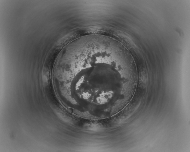 X0000111830503200907231319