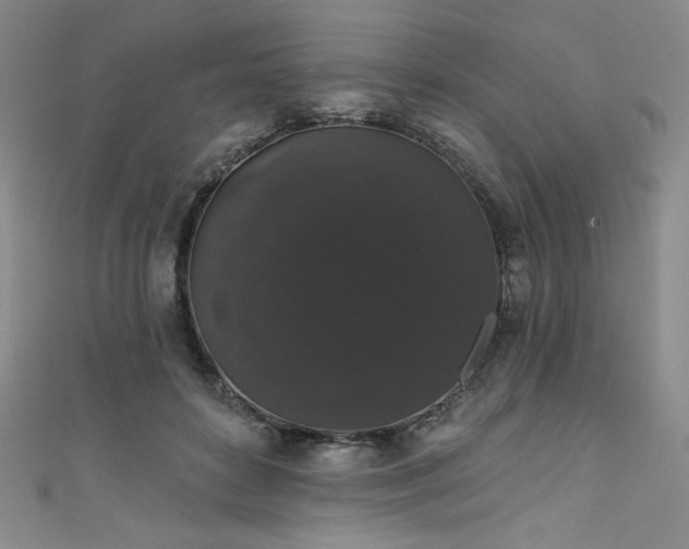 X0000111830504200907231319