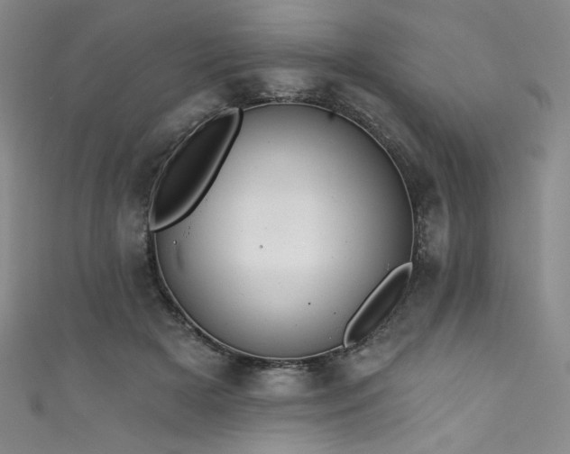 X0000111830505200907231319