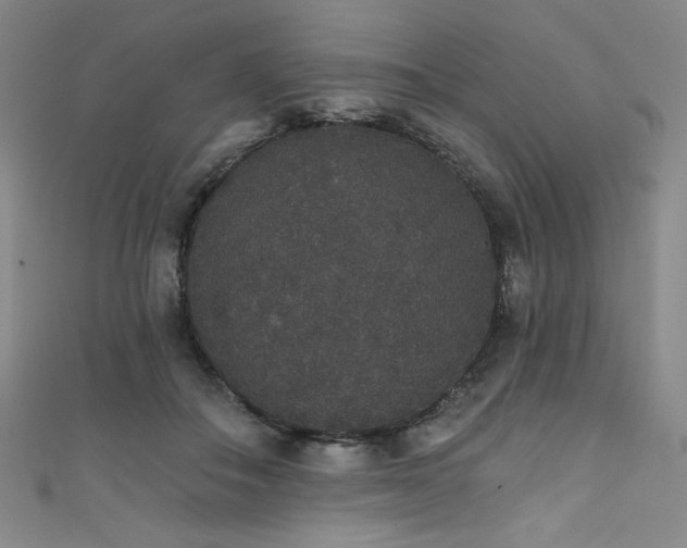 X0000111830506200907231319