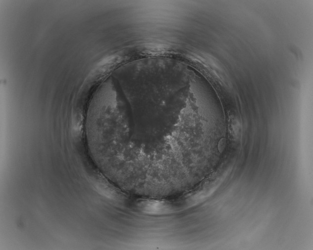 X0000111830507200907231319