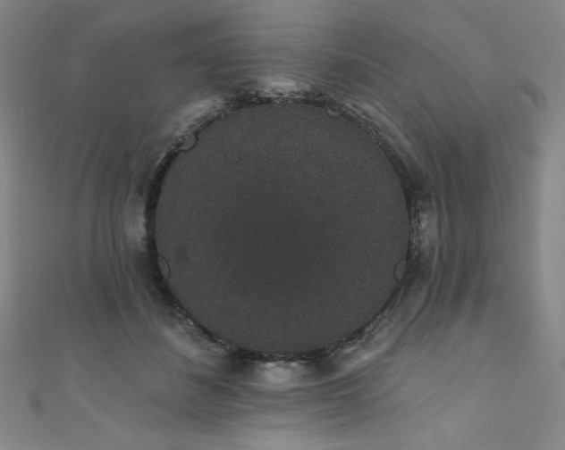 X0000111830508200907231319