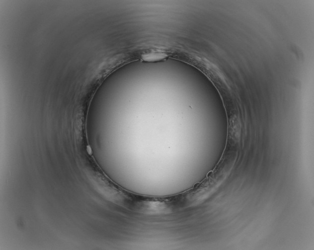 X0000111830509200907231319